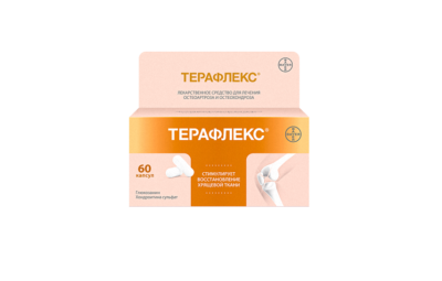 ТЕРАФЛЕКС капсулы N60