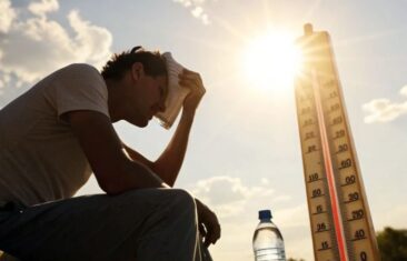 Почему вы плохо переносите жару: физиологические причины